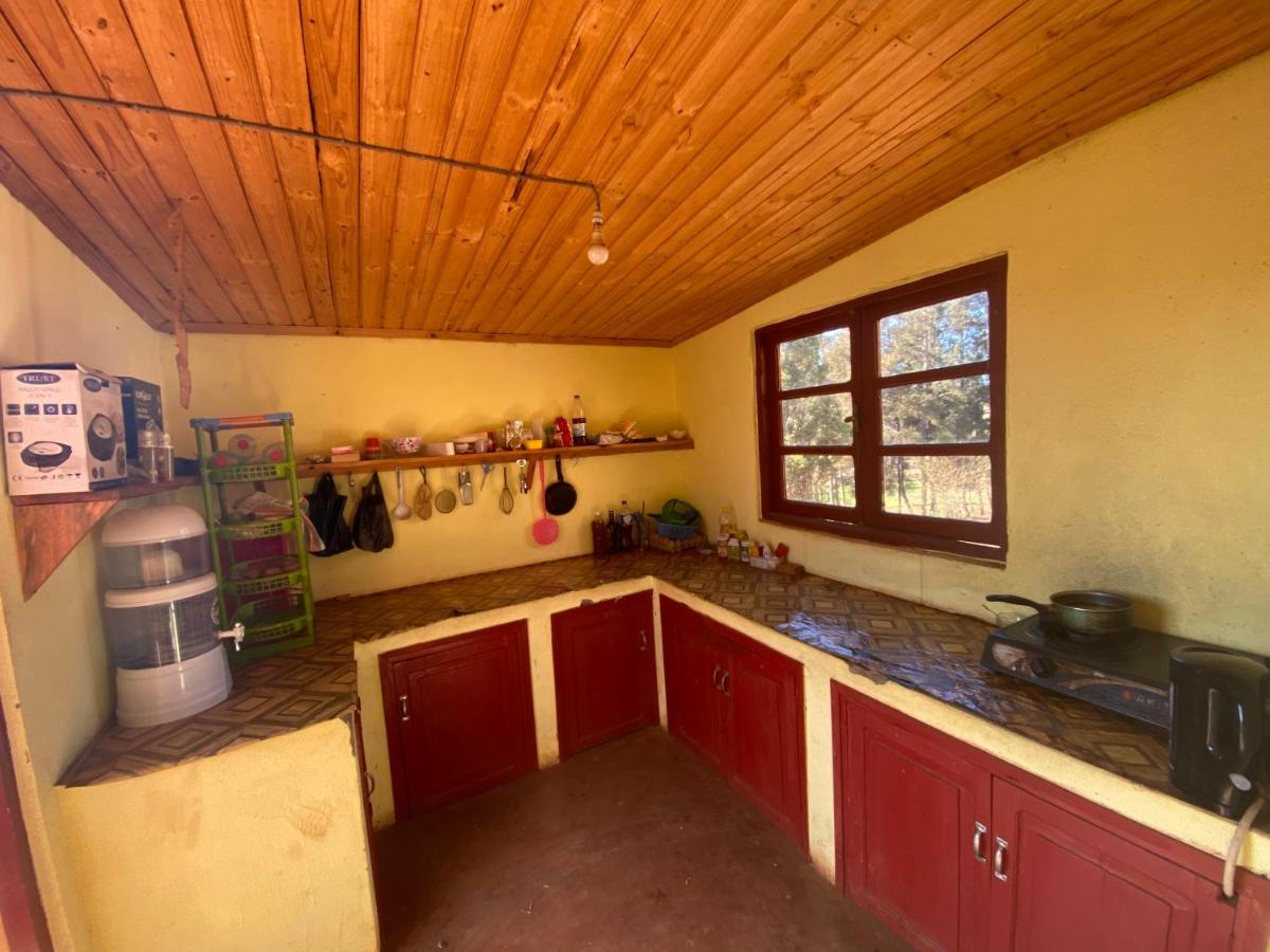 Lycee Picot De Cloriviere Dont Les Revenus Financent L'Education Des Eleves Daire Antsirabe Dış mekan fotoğraf